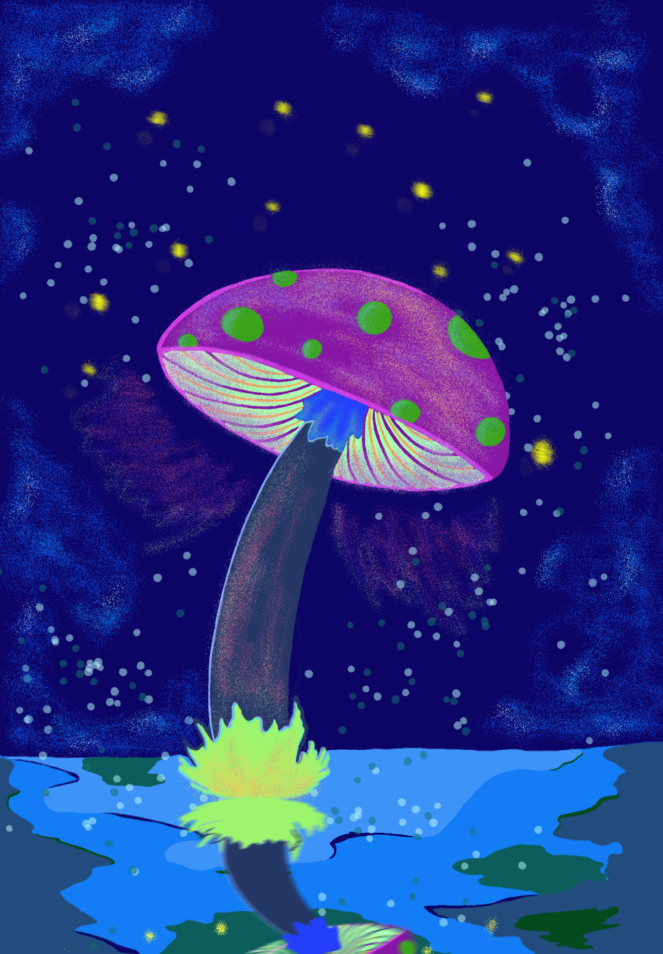 Night Mushroom